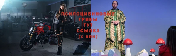 винт Алексин