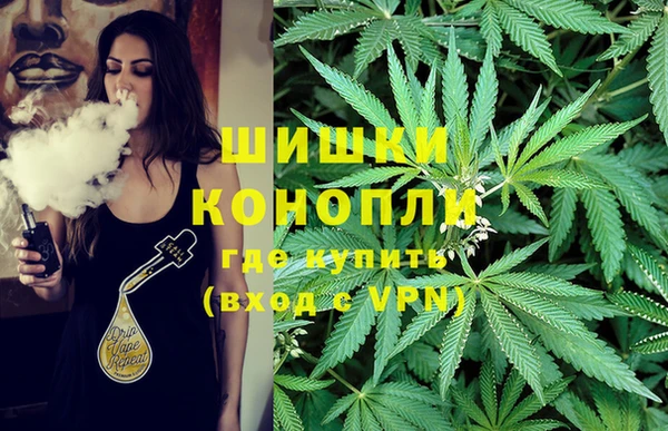 дживик Алзамай